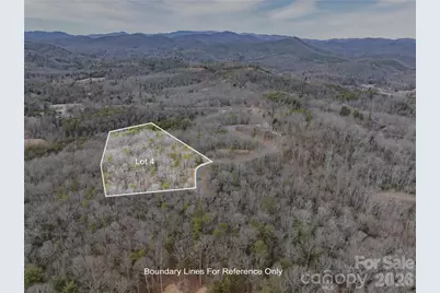 Tract 4 Turtle Ridge Trail, Mills River, NC 28759 - Photo 6
