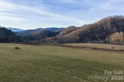 00 Poplar Cove Road, Clyde, NC 28721 - Photo 10