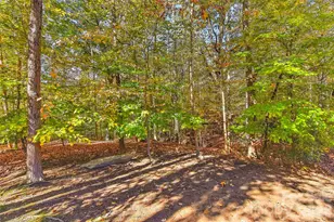 2287 Sweet Clover Way, Denver, NC 28037 - Photo 40