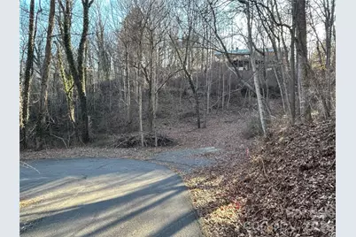 99999 Hickory Tree Road, Asheville, NC 28805 - Photo 4