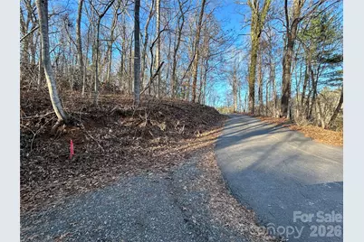 99999 Hickory Tree Road, Asheville, NC 28805 - Photo 12
