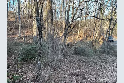 99999 Hickory Tree Road, Asheville, NC 28805 - Photo 10