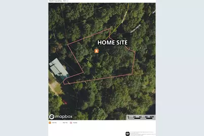 99999 Hickory Tree Road, Asheville, NC 28805 - Photo 2