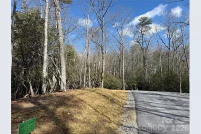 Tract 2 Turtle Ridge Trail, Mills River, NC 28759 - Photo 6