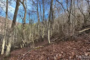 00 Rock House Cove Rd, Clyde, NC 28721 - Photo 1