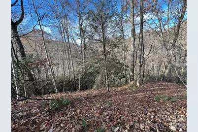 00 Rock House Cove Road #2, Clyde, NC 28721 - Photo 2