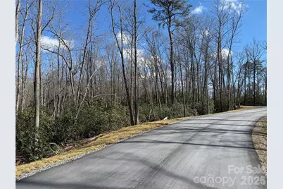 Tract 1 Turtle Ridge Trail, Mills River, NC 28759 - Photo 16