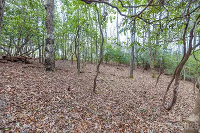 Tract 1 Turtle Ridge Trail, Mills River, NC 28759 - Photo 6