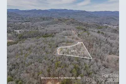 Tract 1 Turtle Ridge Trail, Mills River, NC 28759 - Photo 2