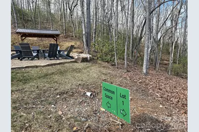 Tract 1 Turtle Ridge Trail, Mills River, NC 28759 - Photo 14