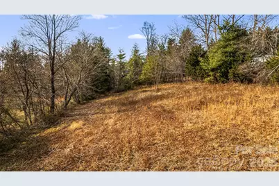 1236 Upper Brush Creek Road, Fairview, NC 28730 - Photo 4