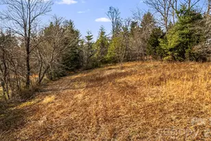 1236 Upper Brush Creek Rd, Fairview, NC 28730 - Photo 4