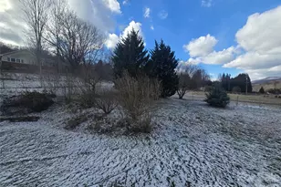 703 Garren Creek Rd, Fairview, NC 28730 - Photo 42