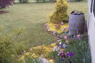 703 Garren Creek Rd, Fairview, NC 28730 - Photo 44