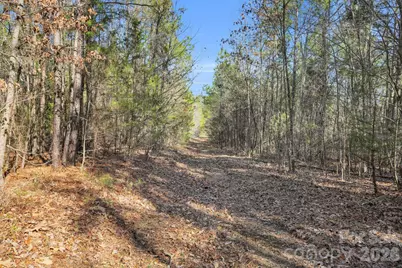 0000 Shannon Road, Blackstock, SC 29014 - Photo 38