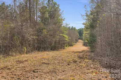 0000 Shannon Road, Blackstock, SC 29014 - Photo 4