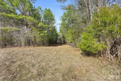 0000 Shannon Road, Blackstock, SC 29014 - Photo 46