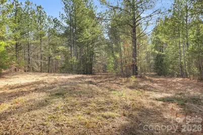 0000 Shannon Road, Blackstock, SC 29014 - Photo 44