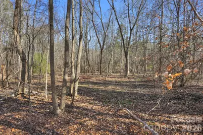 0000 Shannon Road, Blackstock, SC 29014 - Photo 36