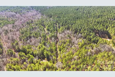 0000 Shannon Road, Blackstock, SC 29014 - Photo 8