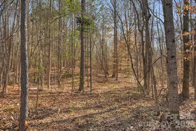 0000 Shannon Road, Blackstock, SC 29014 - Photo 32