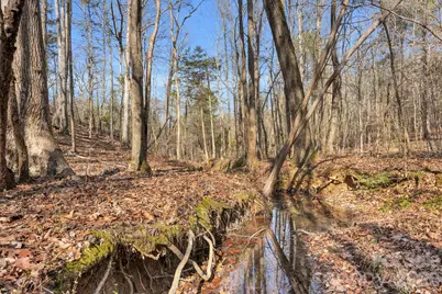 0000 Shannon Road, Blackstock, SC 29014 - Photo 26