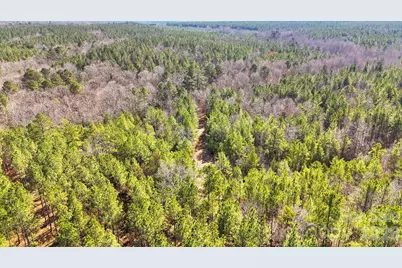 0000 Shannon Road, Blackstock, SC 29014 - Photo 12