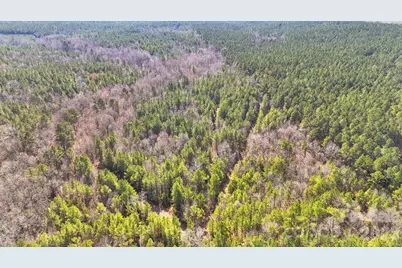 0000 Shannon Road, Blackstock, SC 29014 - Photo 2