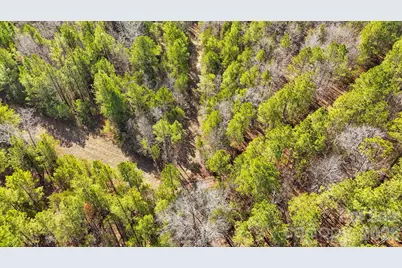 0000 Shannon Road, Blackstock, SC 29014 - Photo 6