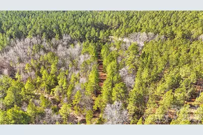 0000 Shannon Road, Blackstock, SC 29014 - Photo 18