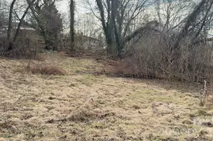 39 Lanvale Ave, Asheville, NC 28806 - Photo 1