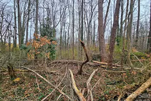 1953 Eckard Ave, Newton, NC 28658 - Photo 16