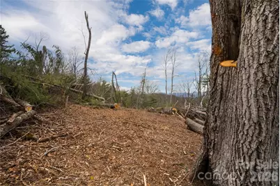 99999 Elk Mountain Scenic Highway #1 & 2, Asheville, NC 28804 - Photo 10