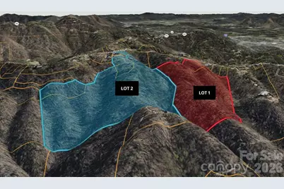 99999 Elk Mountain Scenic Highway #1 & 2, Asheville, NC 28804 - Photo 18