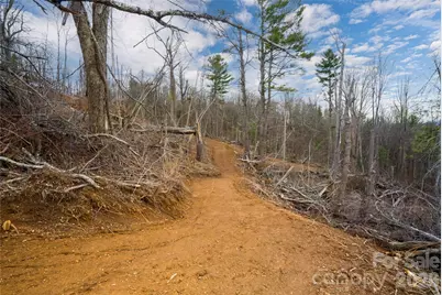 99999 Elk Mountain Scenic Highway #1 & 2, Asheville, NC 28804 - Photo 16
