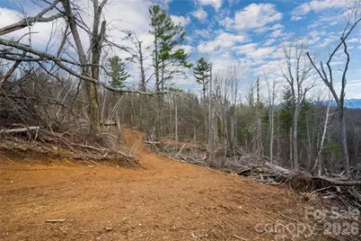 99999 Elk Mountain Scenic Highway #1 & 2, Asheville, NC 28804 - Photo 14