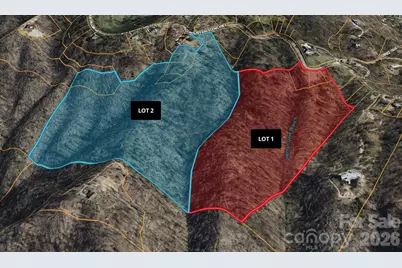 99999 Elk Mountain Scenic Highway #1 & 2, Asheville, NC 28804 - Photo 4