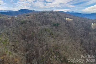 99999 Elk Mountain Scenic Highway #1 & 2, Asheville, NC 28804 - Photo 22