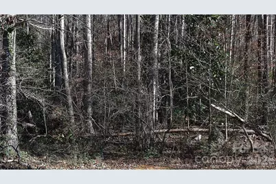 209 Charles Avenue, Morganton, NC 28655 - Photo 10