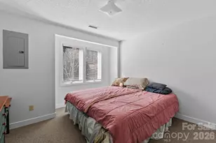 299 Blue Ridge Dr S, Marion, NC 28752 - Photo 20