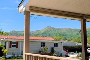 29 Polka Ln, Waynesville, NC 28785 - Photo 40
