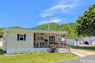29 Polka Ln, Waynesville, NC 28785 - Photo 38
