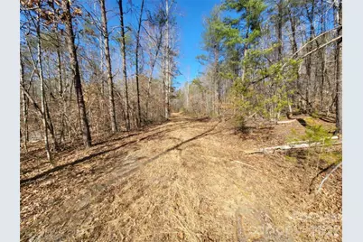 0 Smith Waldrop Road, Columbus, NC 28722 - Photo 6