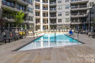 536 W Tremont Ave, Charlotte, NC 28203 - Photo 4