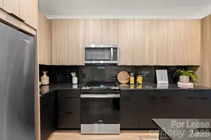 536 W Tremont Ave, Charlotte, NC 28203 - Photo 16