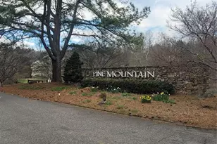 7882 Kinglet Rd, Connelly Springs, NC 28612 - Photo 40