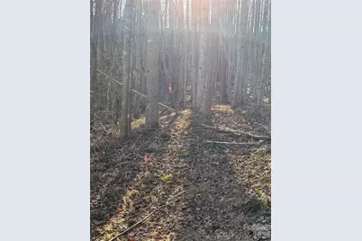 V/L Brindlewood Drive #38V, Nebo, NC 28761 - Photo 12