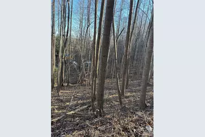 V/L Brindlewood Drive #38V, Nebo, NC 28761 - Photo 8