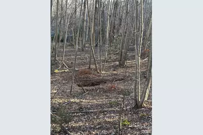 V/L Brindlewood Drive #38V, Nebo, NC 28761 - Photo 10