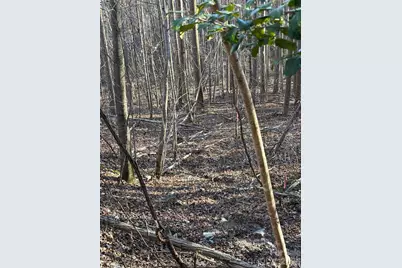V/L Brindlewood Drive #38V, Nebo, NC 28761 - Photo 14